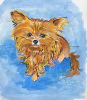 Little Miss Coco Puff Fairy